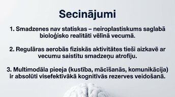 Prezentācija 'Neiroplastiskums un novecošana: vai smadzenes saglabā elastību pēc 60 gadiem', 13.