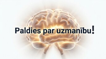 Prezentācija 'Neiroplastiskums un novecošana: vai smadzenes saglabā elastību pēc 60 gadiem', 16.