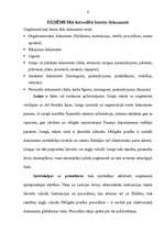 Paraugs 'Praktiskais darbs lietvedībā', 6.