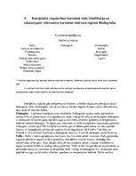 Referāts 'Kurināmais, degvielas un degšanas teorija', 10.