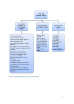 Referāts 'AAS "Gjensidige Baltic" finanšu analīze', 7.