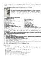 Konspekts 'Kārlis Padegs', 2.