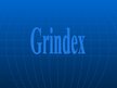 Prezentācija 'Uzņēmums "Grindex"', 1.
