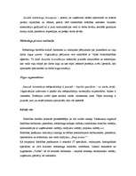 Eseja 'Mārketinga analīze. Jauniešu konsultācijas', 3.