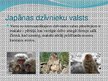 Prezentācija 'Prezentācija par Japānu', 18.