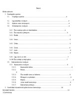 Referāts 'Noliktavas ēkas ar biroja daļu projekts Priekuļi,Vilkājas iela', 2.