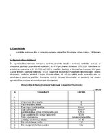 Referāts 'Noliktavas ēkas ar biroja daļu projekts Priekuļi,Vilkājas iela', 4.