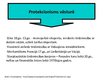 Prezentācija 'Protekcionisms', 2.
