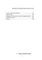 Prakses atskaite 'Prakse pirmsskolā', 2.