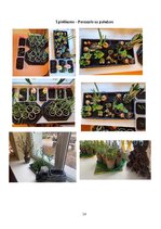 Prakses atskaite 'Prakse pirmsskolā', 15.