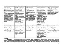 Prakses atskaite 'Integrētas nodarbības konspekts', 13.