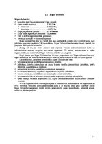 Referāts 'Brīvās ekonomiskās zonasun nodokļu atvieglojumi', 11.