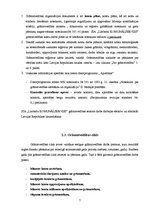 Prakses atskaite 'Grāmatvedības paņēmienu pielietojums', 7.