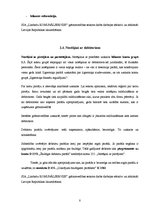 Prakses atskaite 'Grāmatvedības paņēmienu pielietojums', 8.