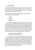 Prakses atskaite 'Gigabitu pasīvā optiskā tīkla tehnoloģija', 13.