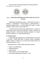 Prakses atskaite 'Gigabitu pasīvā optiskā tīkla tehnoloģija', 14.