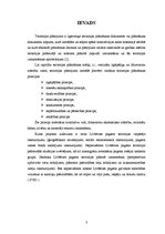 Referāts 'Līvbērzes pagasta daļas teritorijas plānojums', 3.