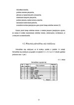 Referāts 'Līvbērzes pagasta daļas teritorijas plānojums', 23.