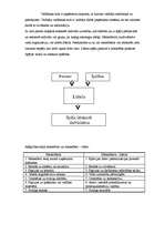 Referāts 'Līderis', 3.