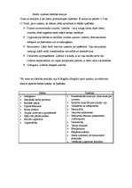 Referāts 'Līderis', 4.