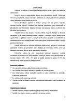 Referāts 'Dzelzceļa katastrofa (Zeļķu dzelzceļa tilts pār Daugavu)', 2.