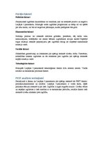 Konspekts 'Politisko, ekonomisko, sociālo un tehnoloģisko faktoru analīze par Liepājas 3.pa', 5.