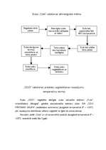 Referāts 'SIA "CIDO Pārtikas Grupa”', 4.