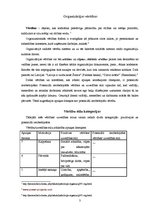Referāts 'Organizācijas vērtības', 3.