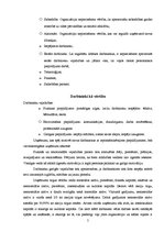 Referāts 'Organizācijas vērtības', 5.