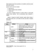 Referāts 'Hipotekārās ķīlu zīme, to tirgus procedūras Latvijā', 13.