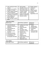Referāts 'Uzņēmuma "Latio" darbinieku motivācijas līmeņa paaugstināšanas projekts', 15.