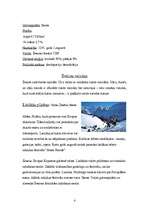 Referāts 'Šveice', 4.