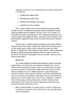 Referāts 'Es grupā', 5.