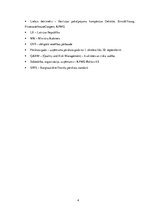 Prakses atskaite 'Prakses atskaite uzņēmumā "KPMG"', 4.