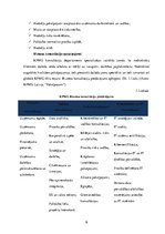 Prakses atskaite 'Prakses atskaite uzņēmumā "KPMG"', 9.