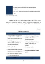 Prakses atskaite 'Prakses atskaite uzņēmumā "KPMG"', 24.