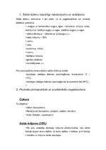 Konspekts 'Saldie ēdieni', 2.