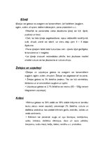 Konspekts 'Saldie ēdieni', 6.