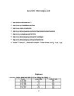 Referāts 'Investīcijas Latvijas vērtspapīros: ienesīguma analīze', 13.