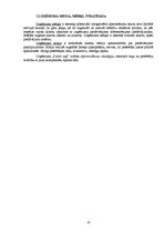 Biznesa plāns 'Kempings "Dzīvo zaļi"', 10.