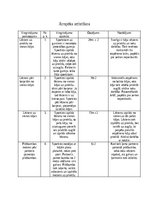 Konspekts 'Ātrspēka attīstīšana', 1.