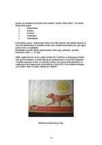 Referāts 'Mārketings', 18.