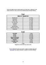 Referāts 'Mārketings', 19.