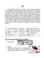 Konspekts 'Ievadierīces - datorkomplikācijā', 8.