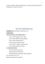 Prakses atskaite 'Pedagoģiski psiholoģisko vērojumu prakse pirmsskolā', 11.