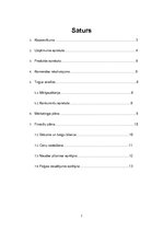 Biznesa plāns 'Biznesa plāns', 2.