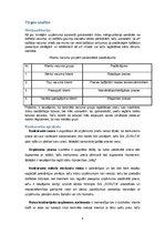 Biznesa plāns 'Biznesa plāns', 6.