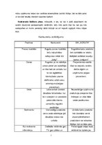 Biznesa plāns 'Biznesa plāns', 7.