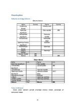 Biznesa plāns 'Biznesa plāns', 10.