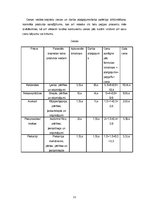 Biznesa plāns 'Biznesa plāns', 11.